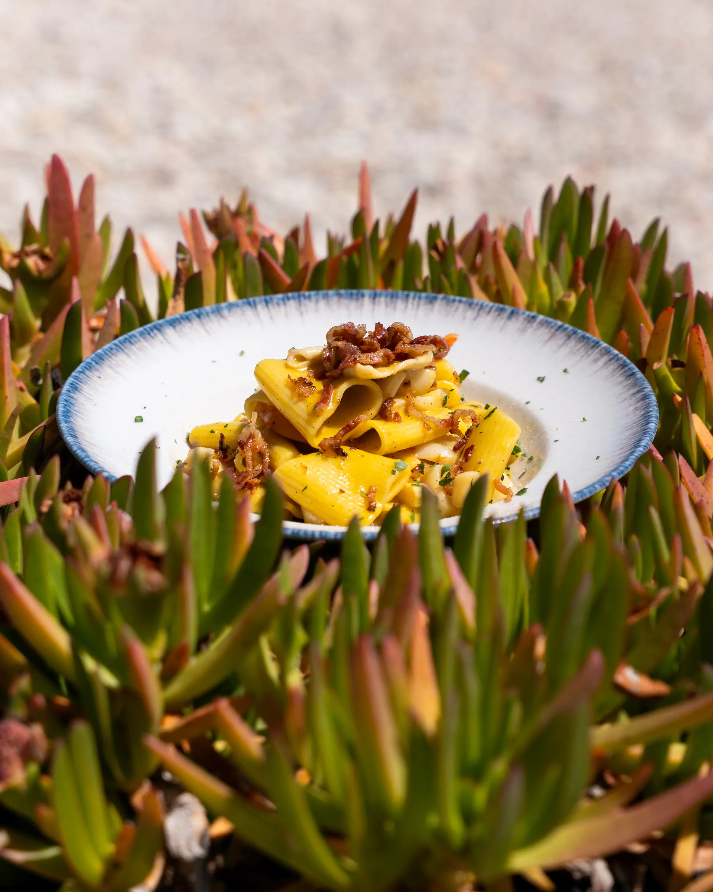 Piatto di pasta appoggiato fra le piante grasse della spiaggia
